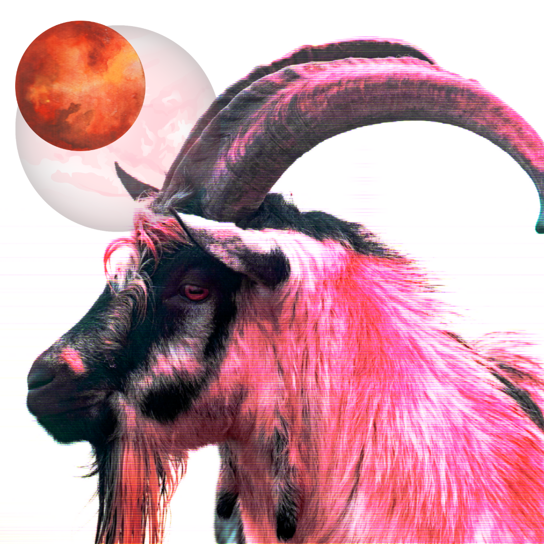 Venus and Mars conjunct in Capricorn February 2022